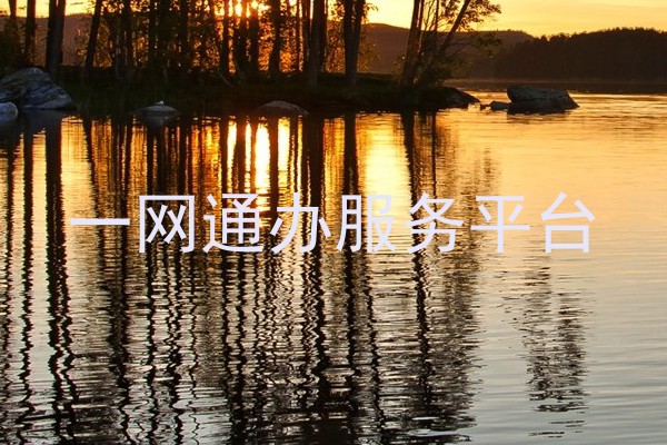 一网通办服务平台