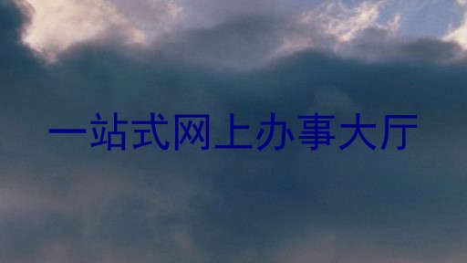 一站式网上办事大厅