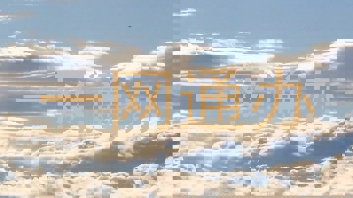 一网通办