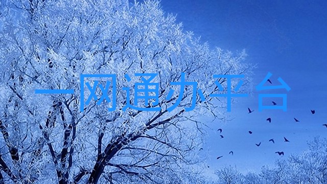 一网通办平台