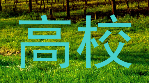 高校