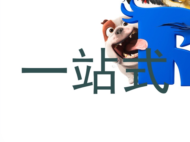 一站式