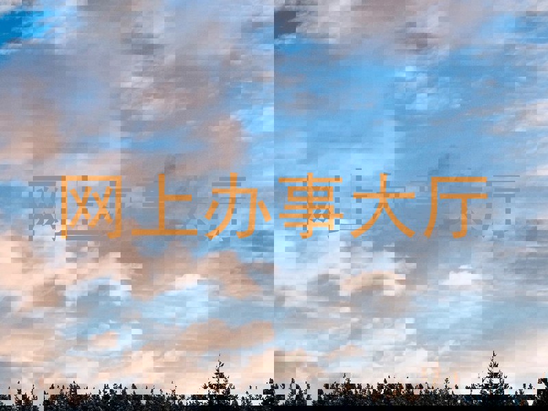 网上办事大厅