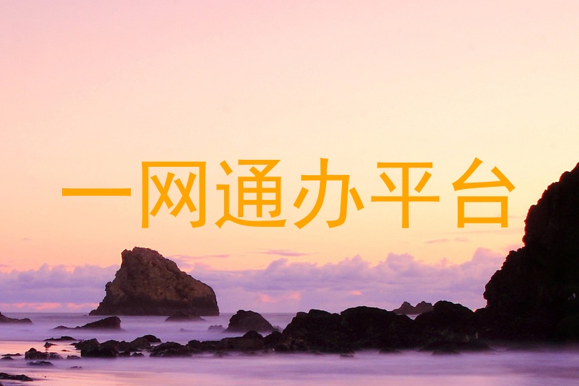 一网通办平台