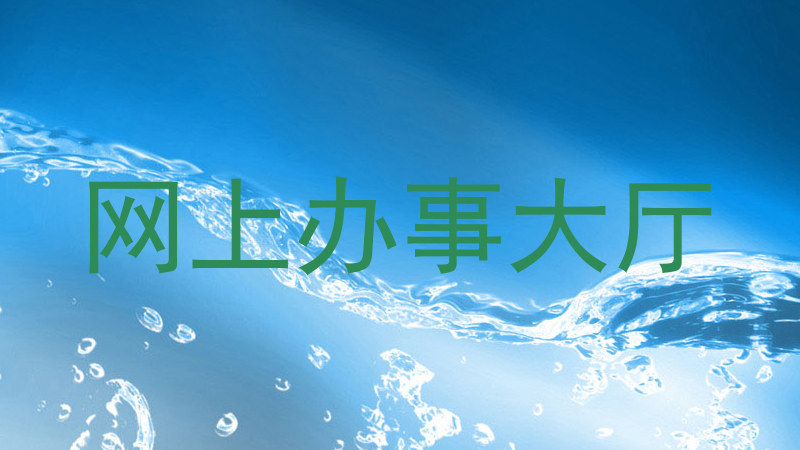 网上办事大厅