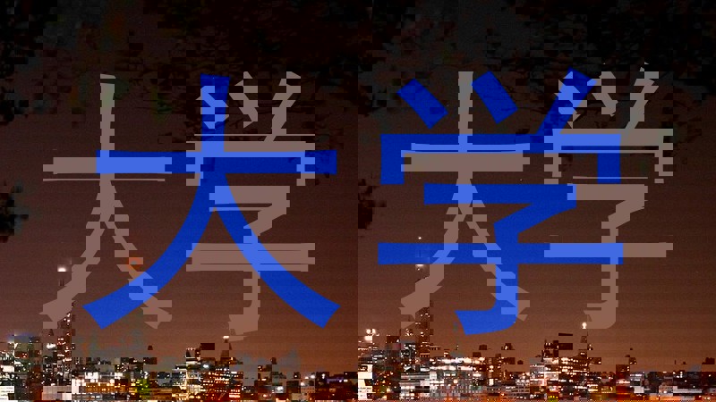 大学