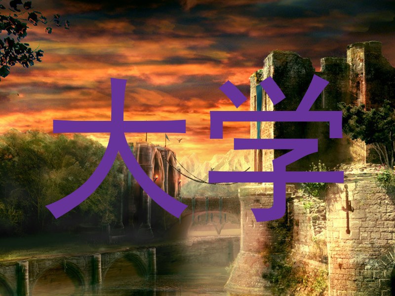 大学