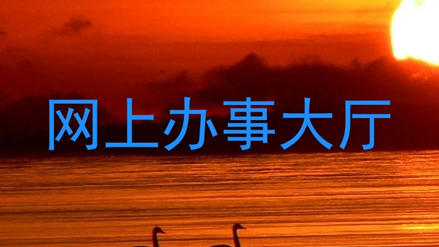 网上办事大厅