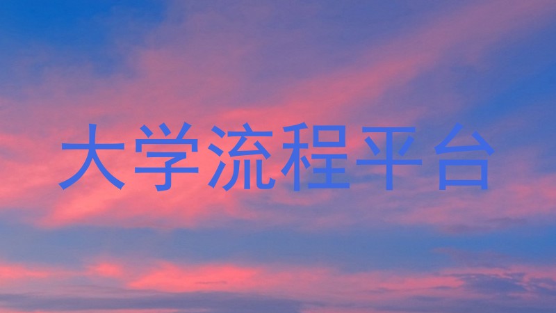 大学流程平台