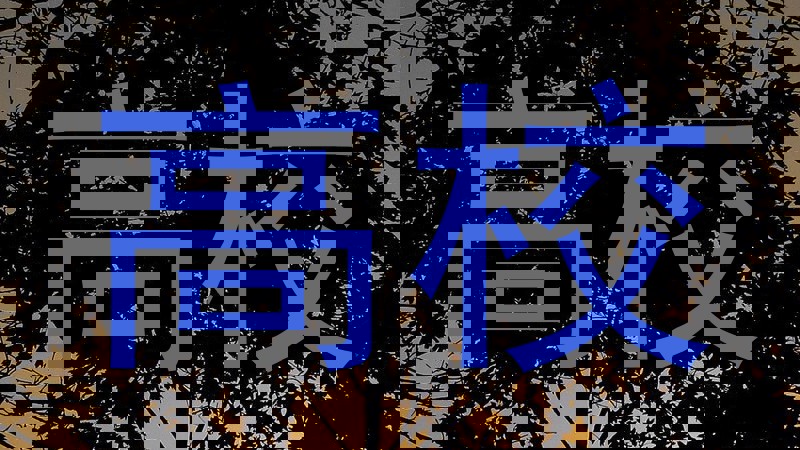 高校