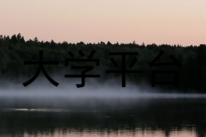大学平台