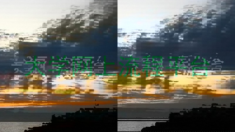 大学网上流程平台
