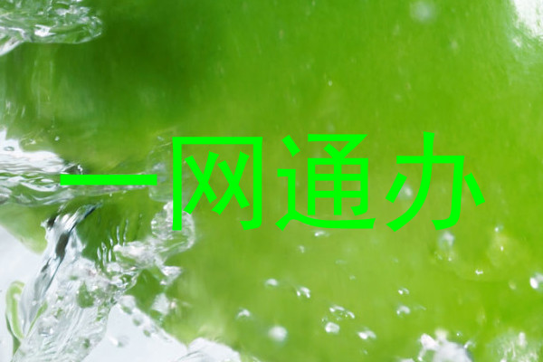 一网通办
