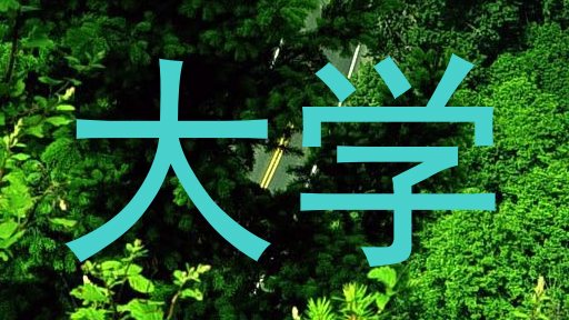 大学