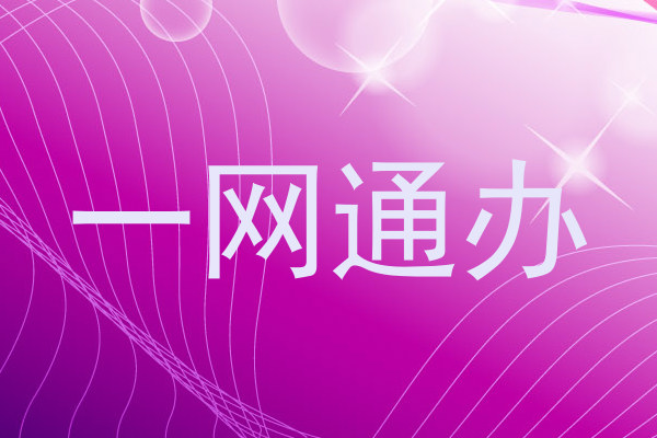 一网通办