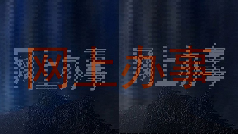 网上办事