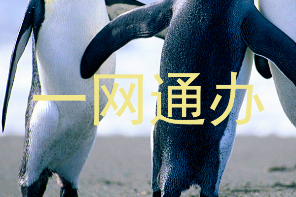一网通办