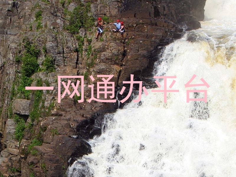 一网通办平台