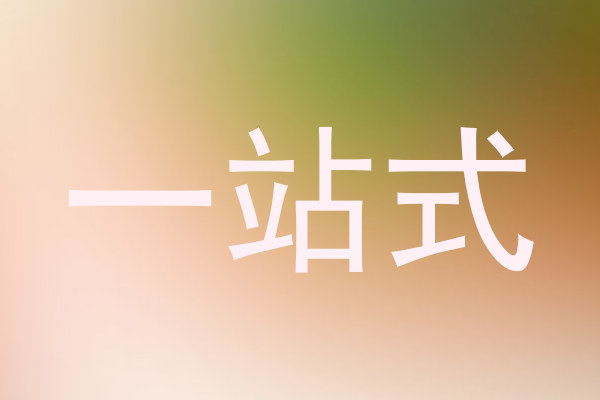 一站式