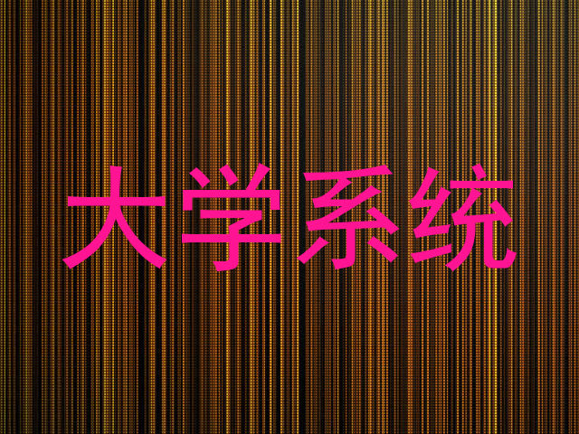 大学系统