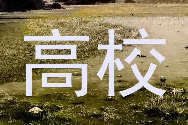 高校