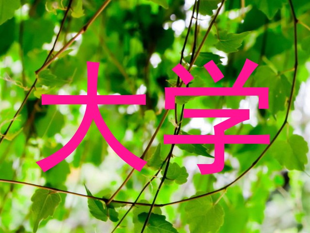 大学
