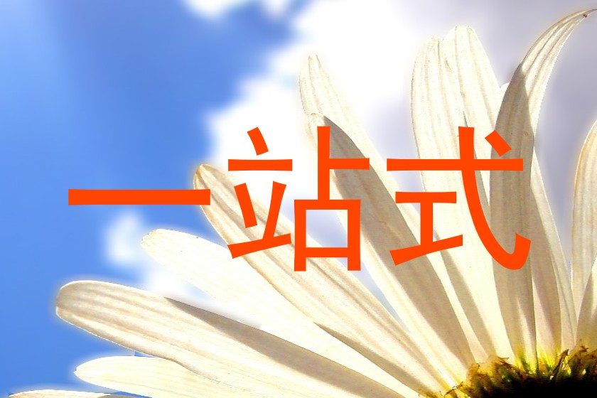 一站式