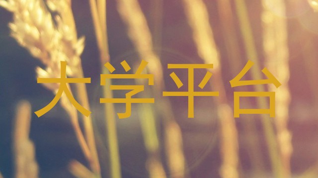 大学平台