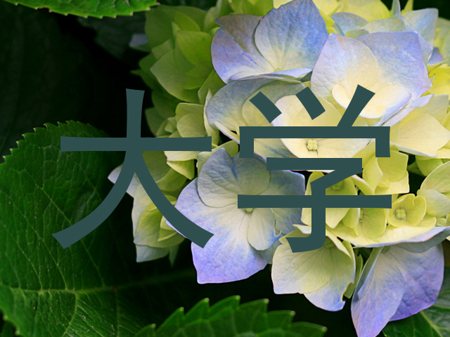 大学
