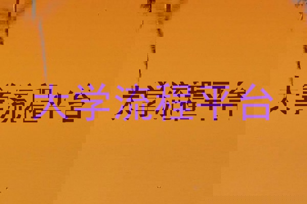 大学流程平台