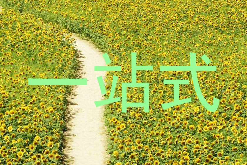 一站式