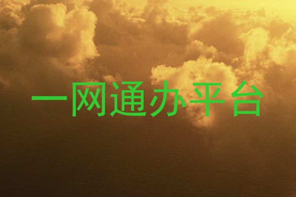 一网通办平台