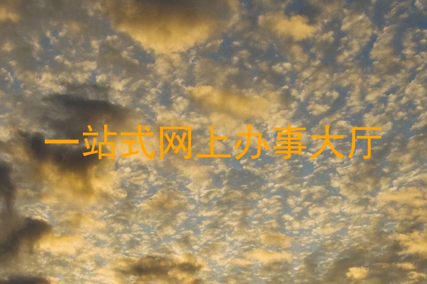 一站式网上办事大厅