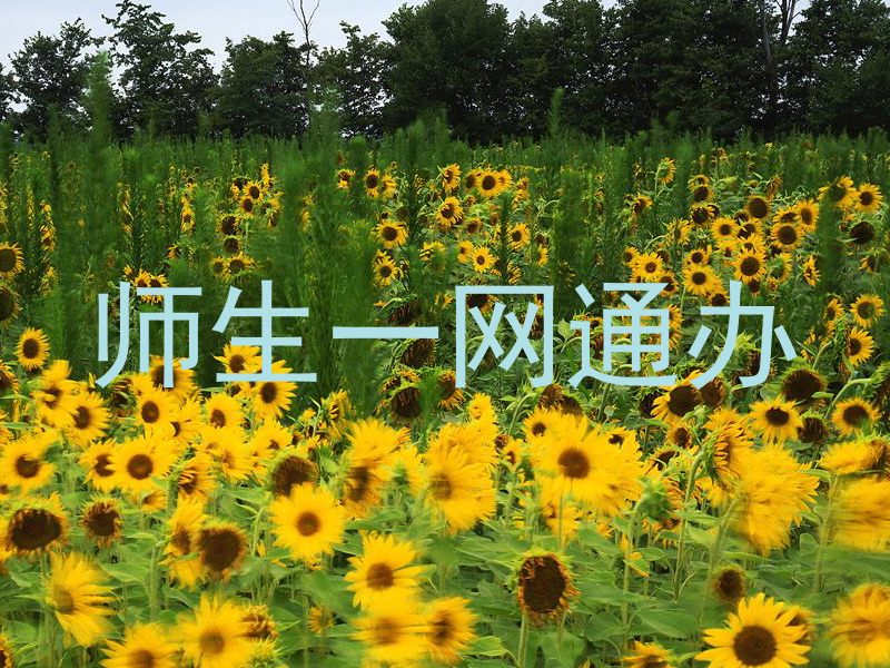师生一网通办