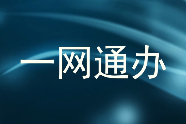 一网通办