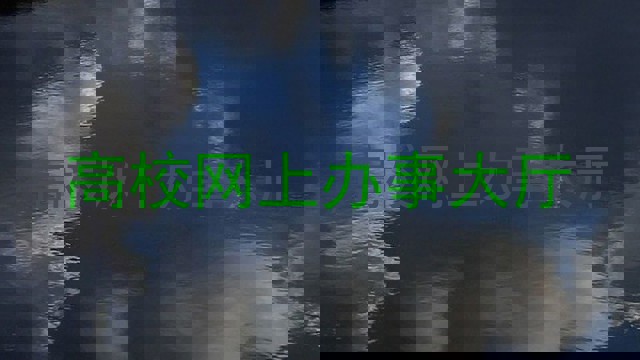 高校网上办事大厅