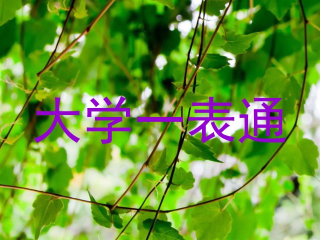 大学一表通