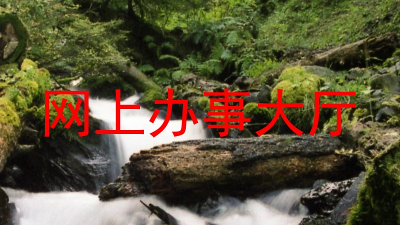 网上办事大厅