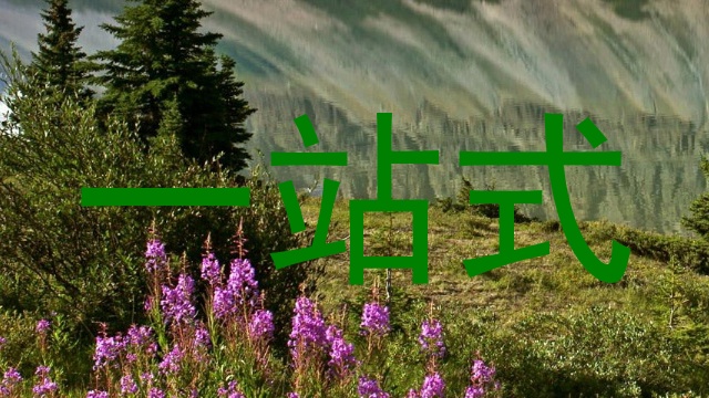 一站式