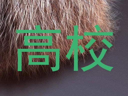高校