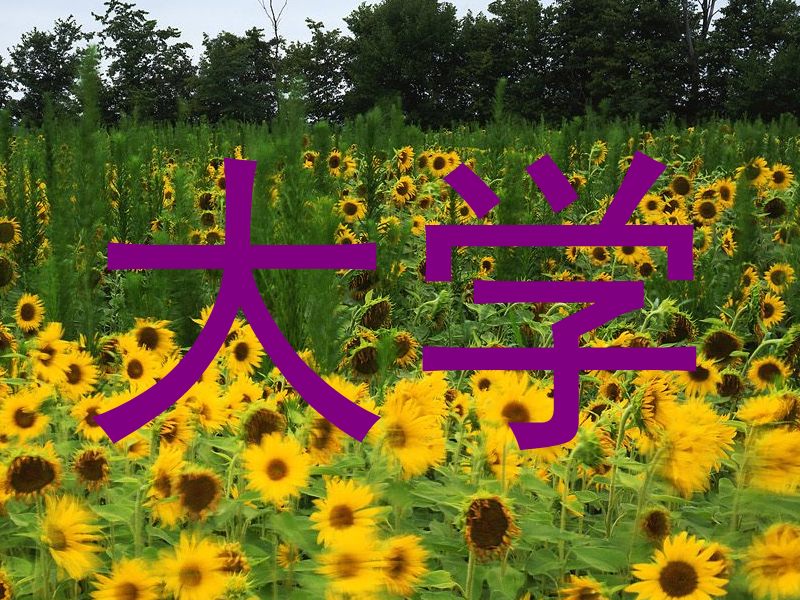 大学