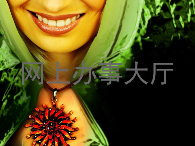 网上办事大厅