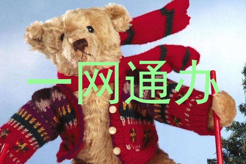 一网通办