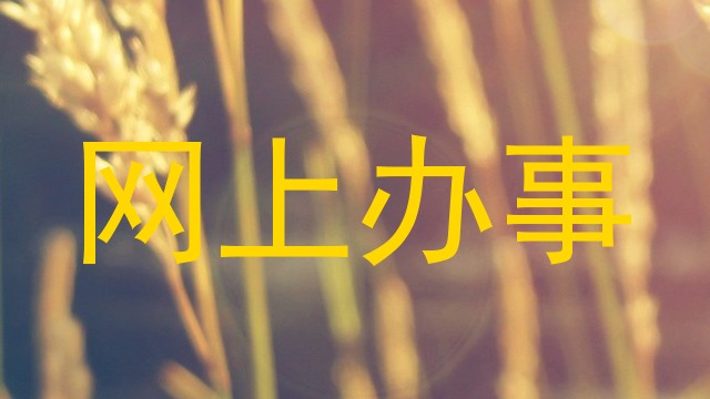 网上办事