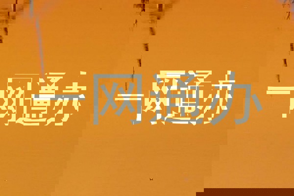 一网通办