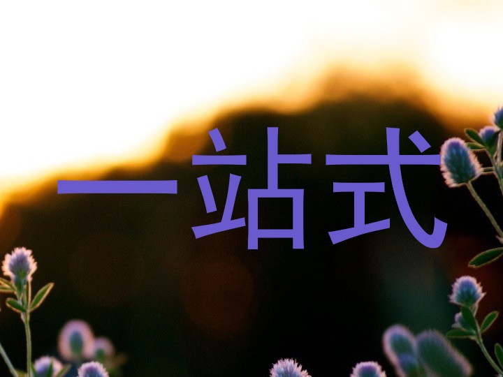 一站式