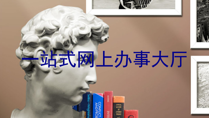一站式网上办事大厅