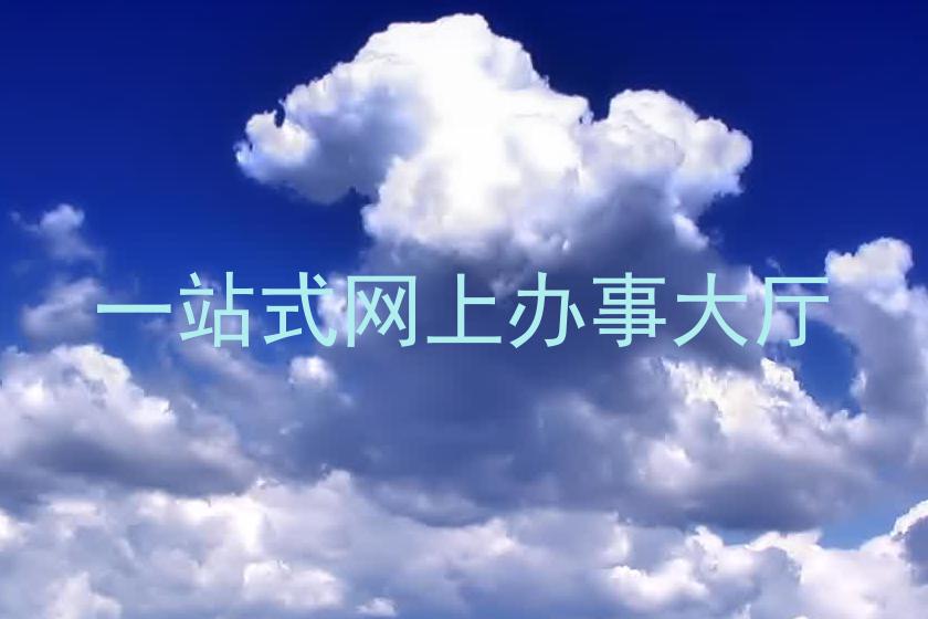 一站式网上办事大厅
