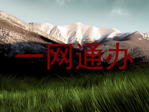 一网通办