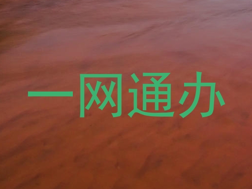 一网通办
